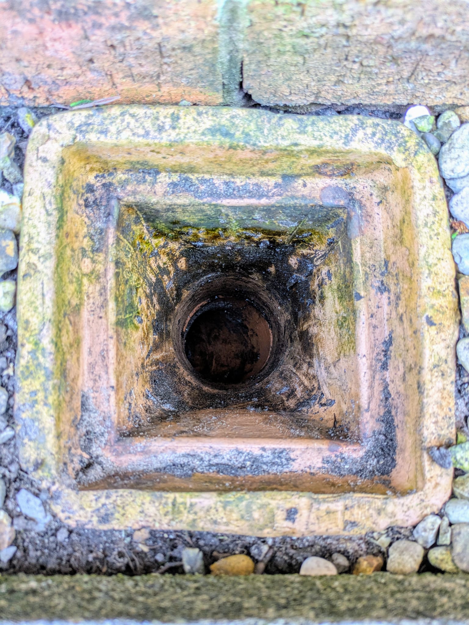 Clean driveway after pressure washing